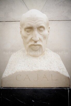 Real Academia de las Ciencias-busto de Ramon y Cajal por Victorio Macho